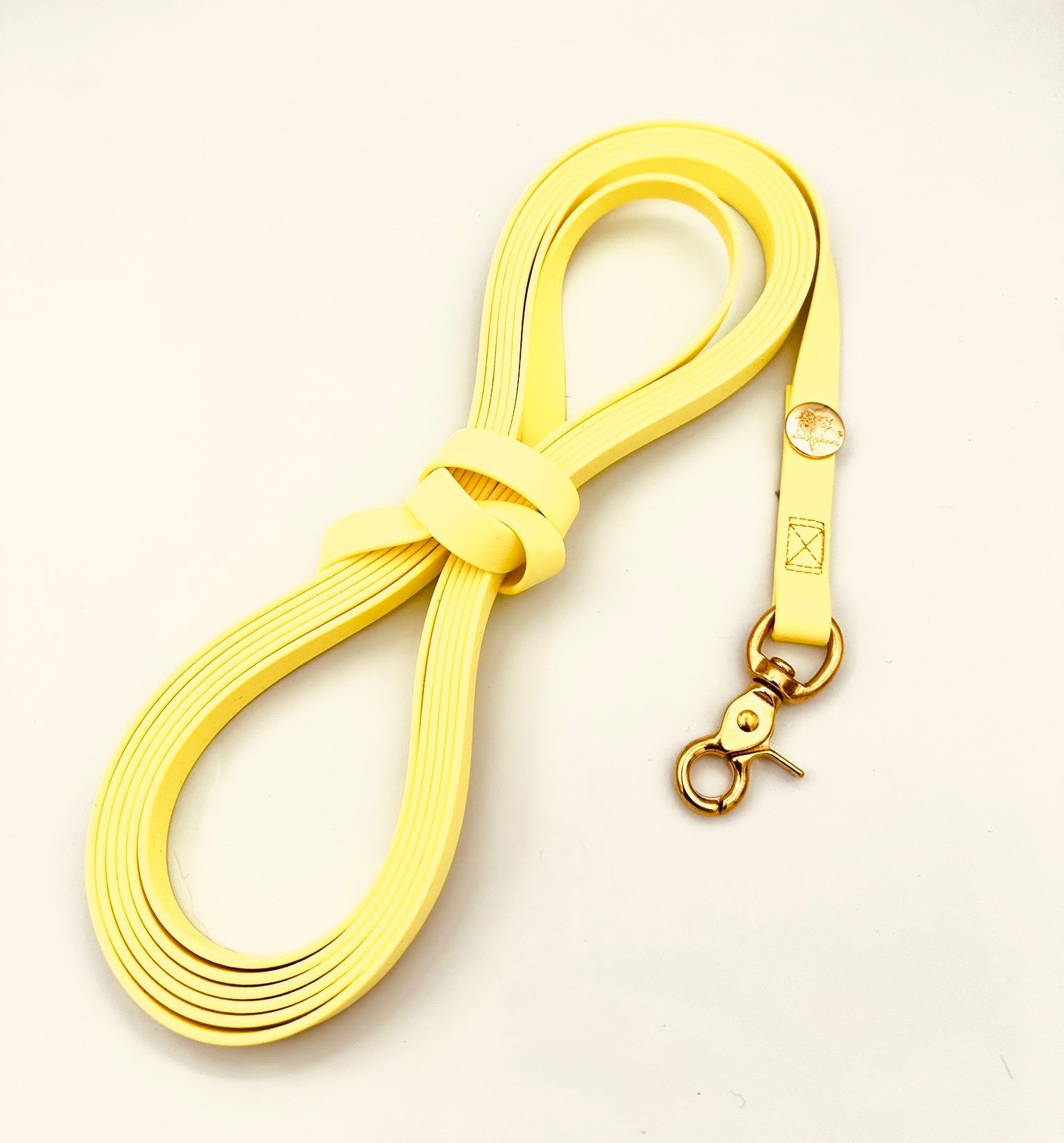 Schleppleine Biothane Buttergelb