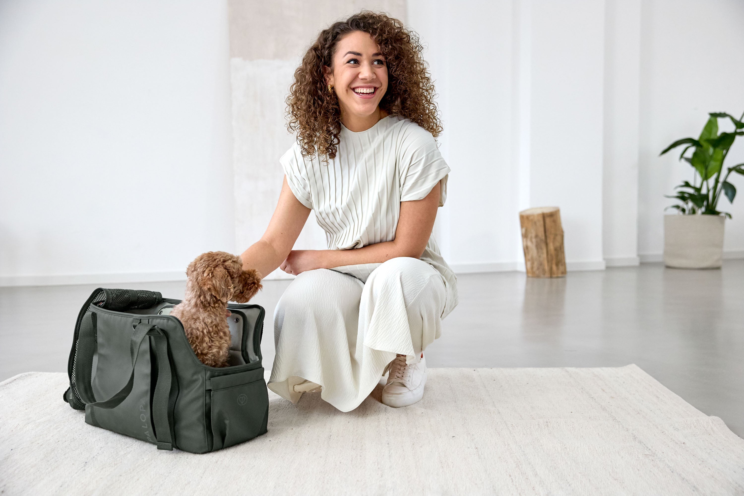 Hundetragetasche Oliv