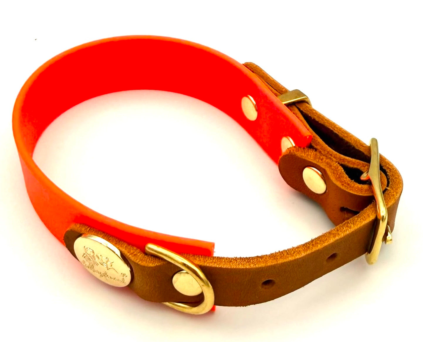 Biothane Lederhalsband Neonorange/Gold