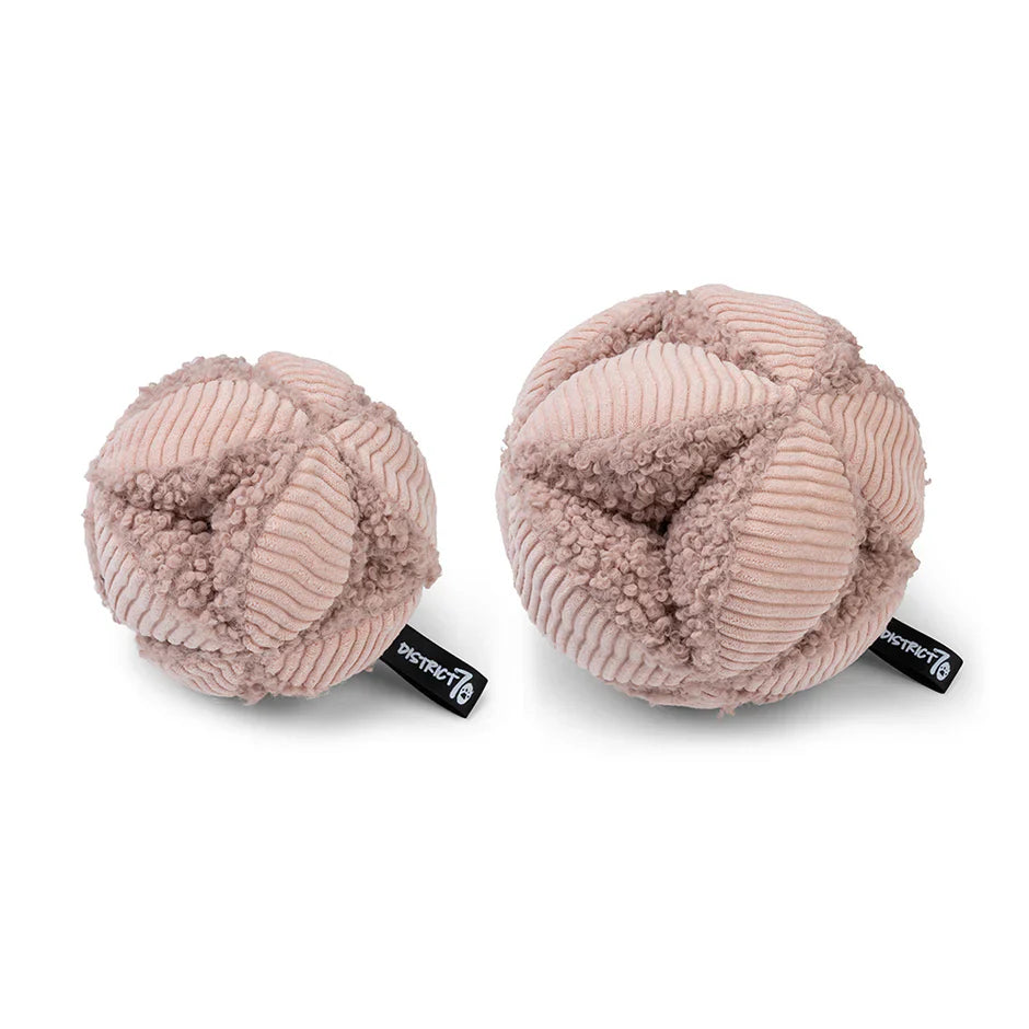 Schnüffelspielzeug Ball