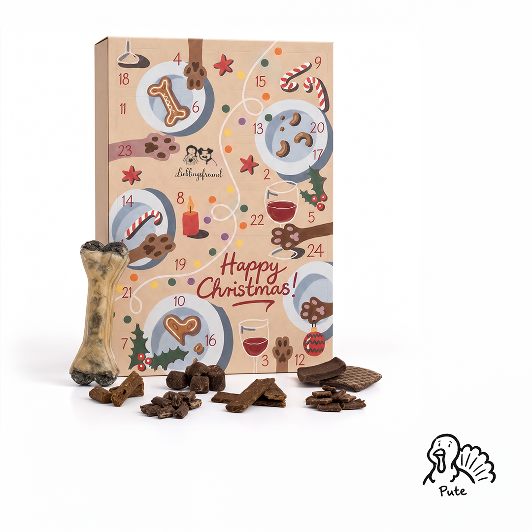 Lieblingsfreund Adventskalender Pute