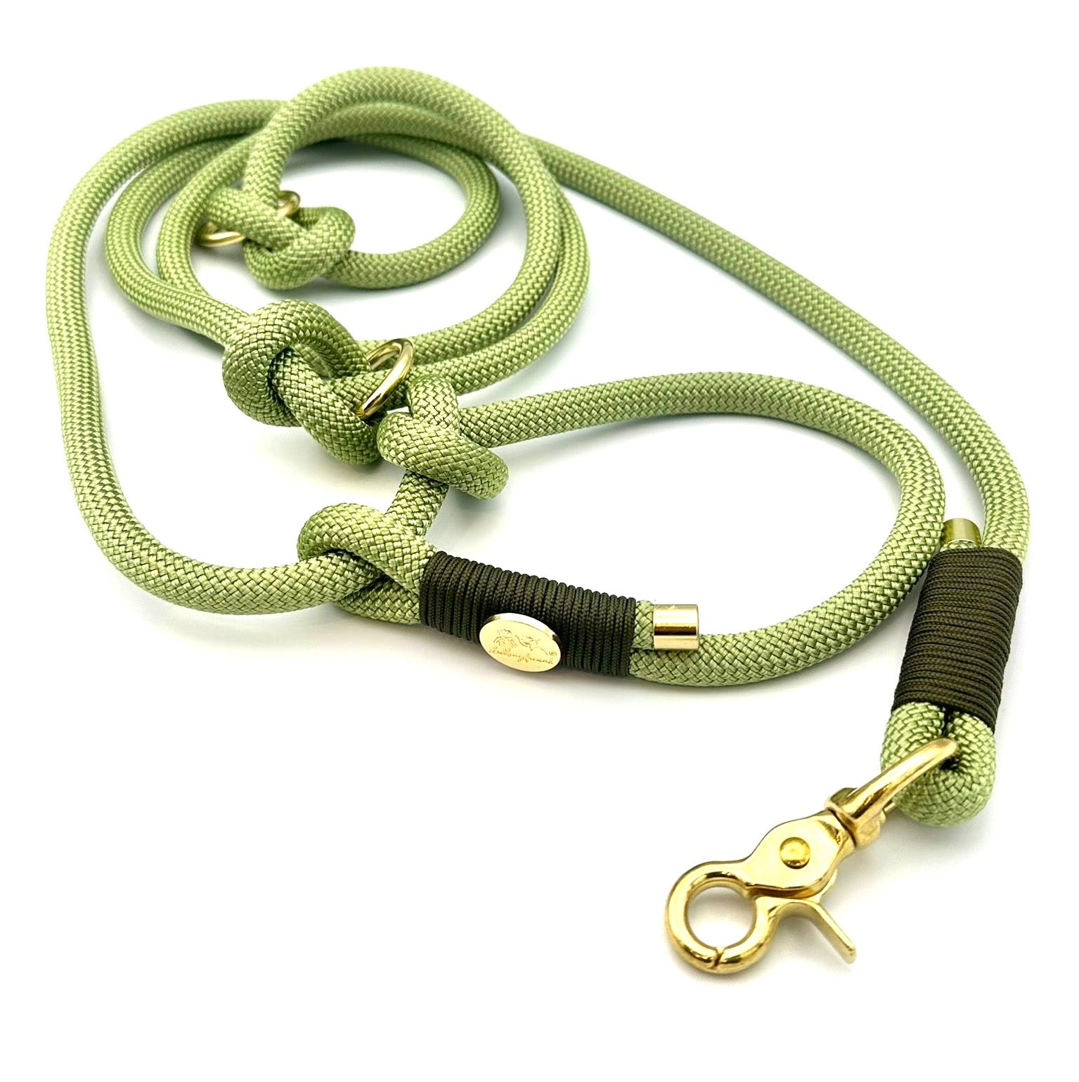 Retrieverleine Pistazie