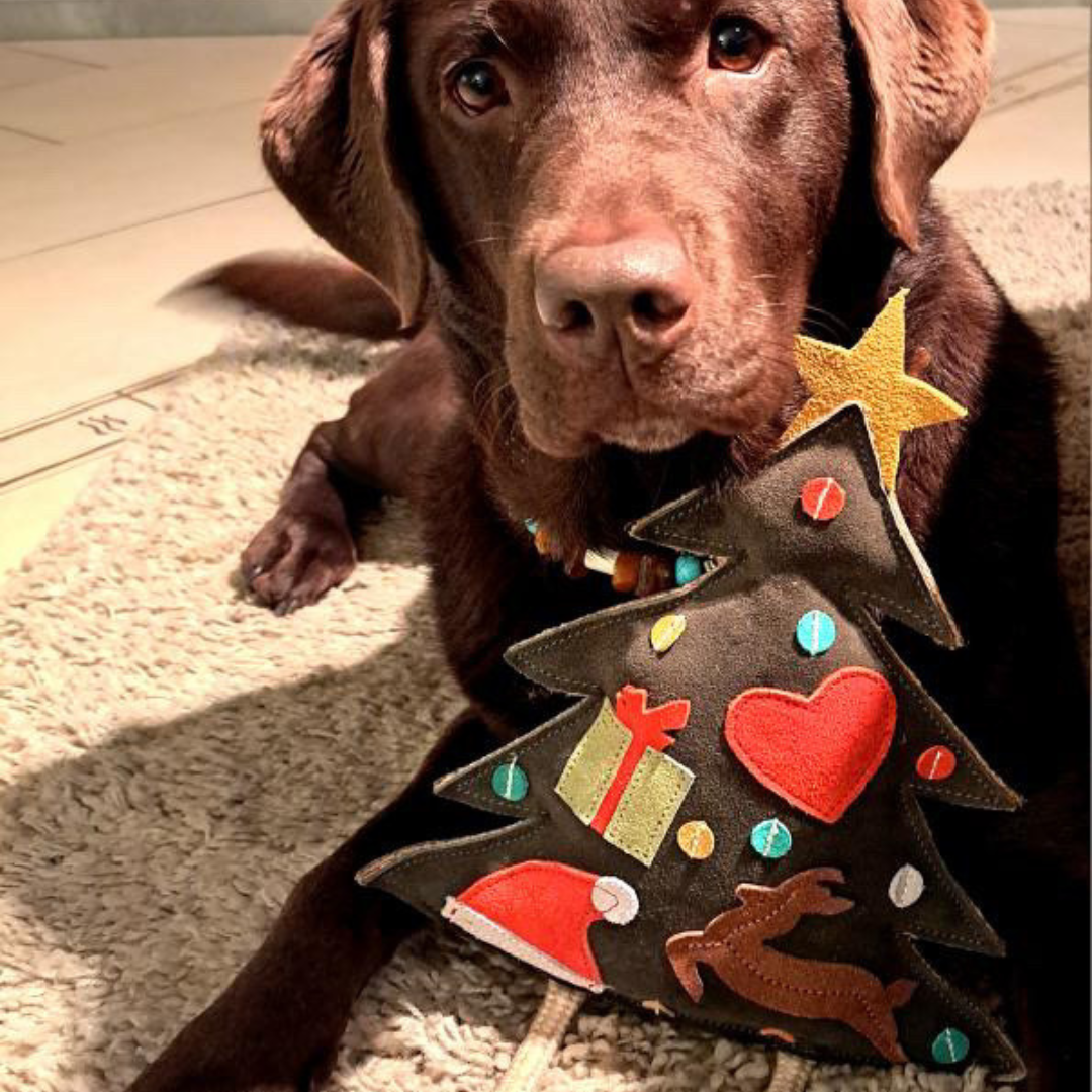 Nachhaltiges Leder Hundespielzeug "Tanne" | Schadstofffrei & robust