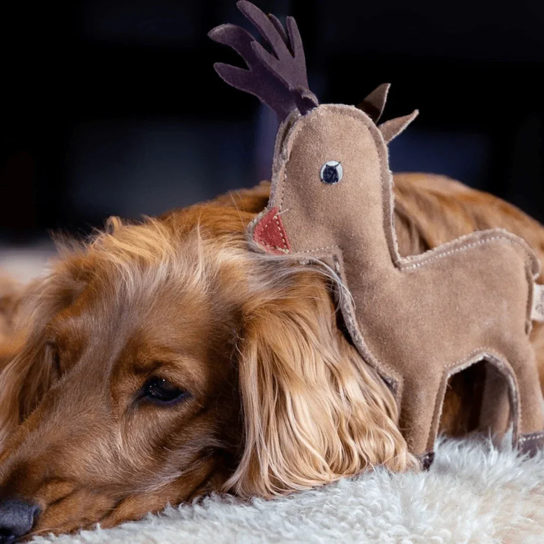 Nachhaltiges Leder Hundespielzeug Elch "Rudolph Rentier" | Schadstofffrei & robust