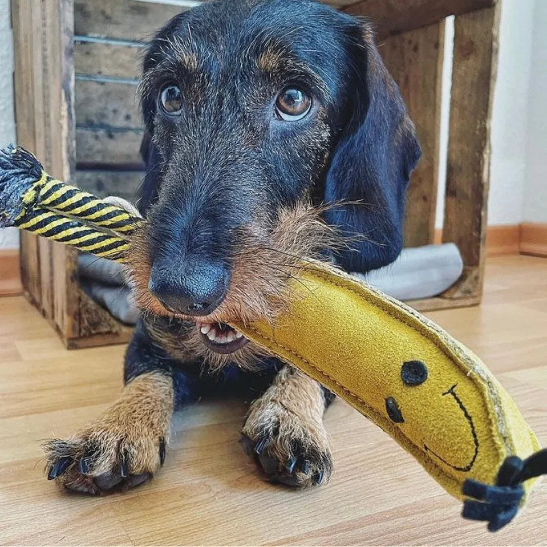 Nachhaltiges Hundespielzeug "Barne Banane" | Robust & 100% schadstofffrei | Upcycling Leder & natürliche Baumwolle