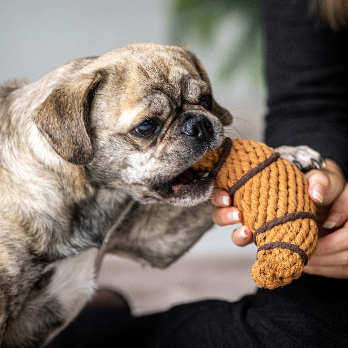 Croissant aus Baumwolle