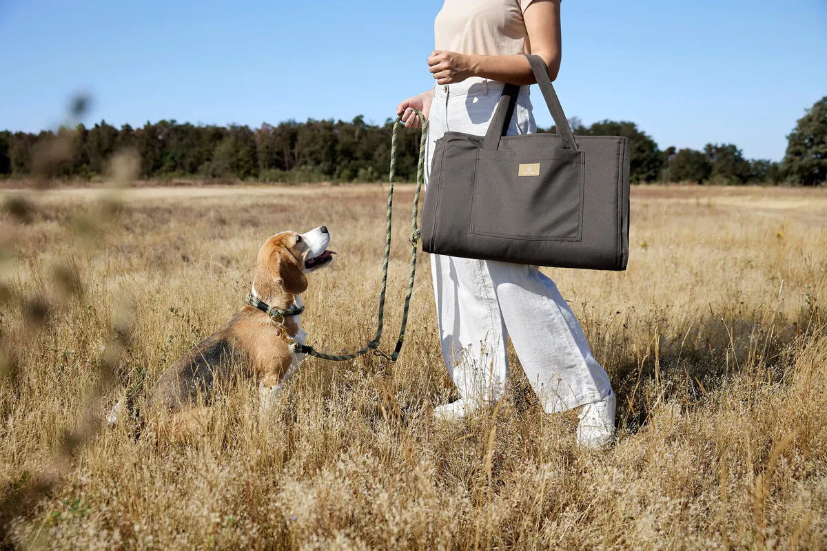 HUNDEMATTENTASCHE - NOBO