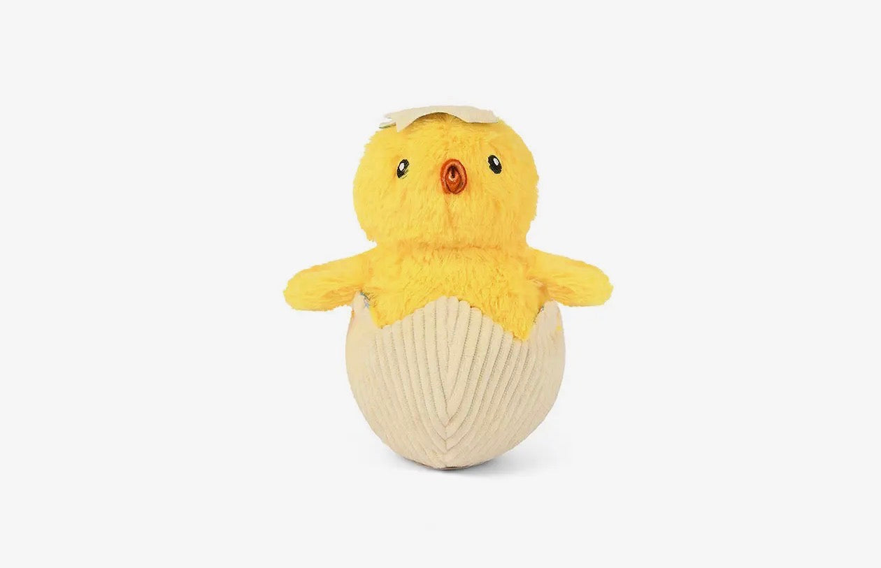 Küken