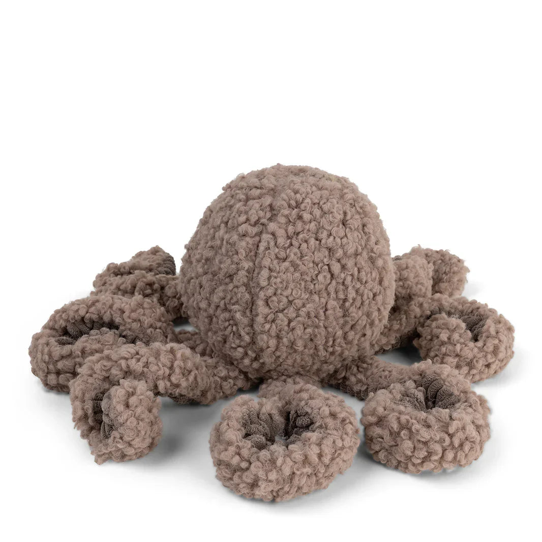 Oktopus