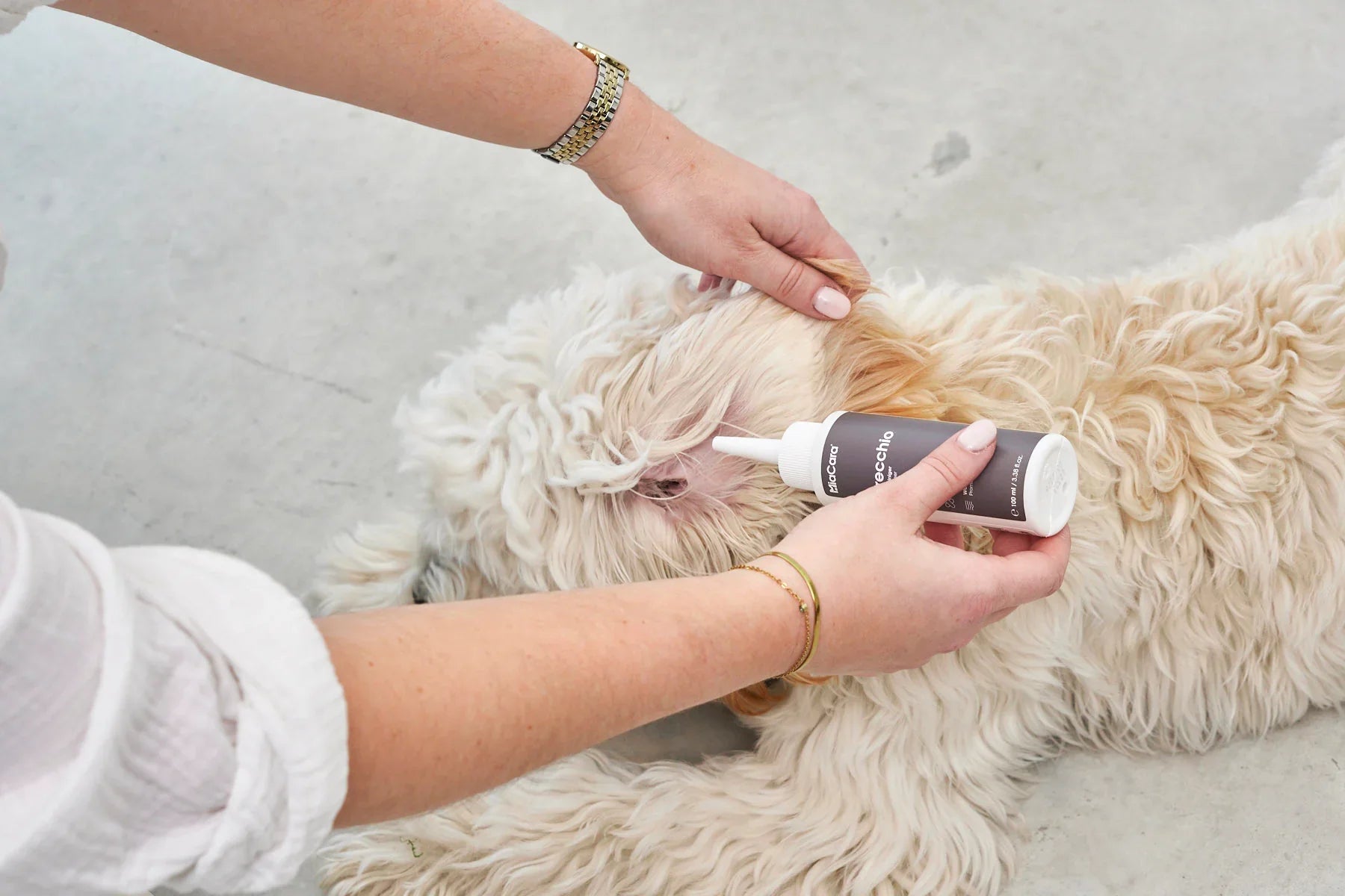 Orecchio Ohrenreiniger