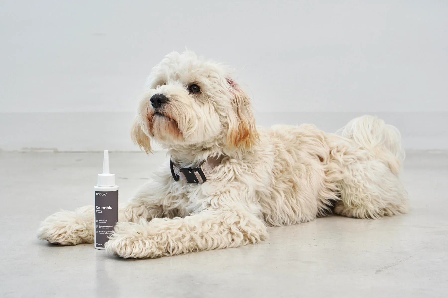 Orecchio Ohrenreiniger