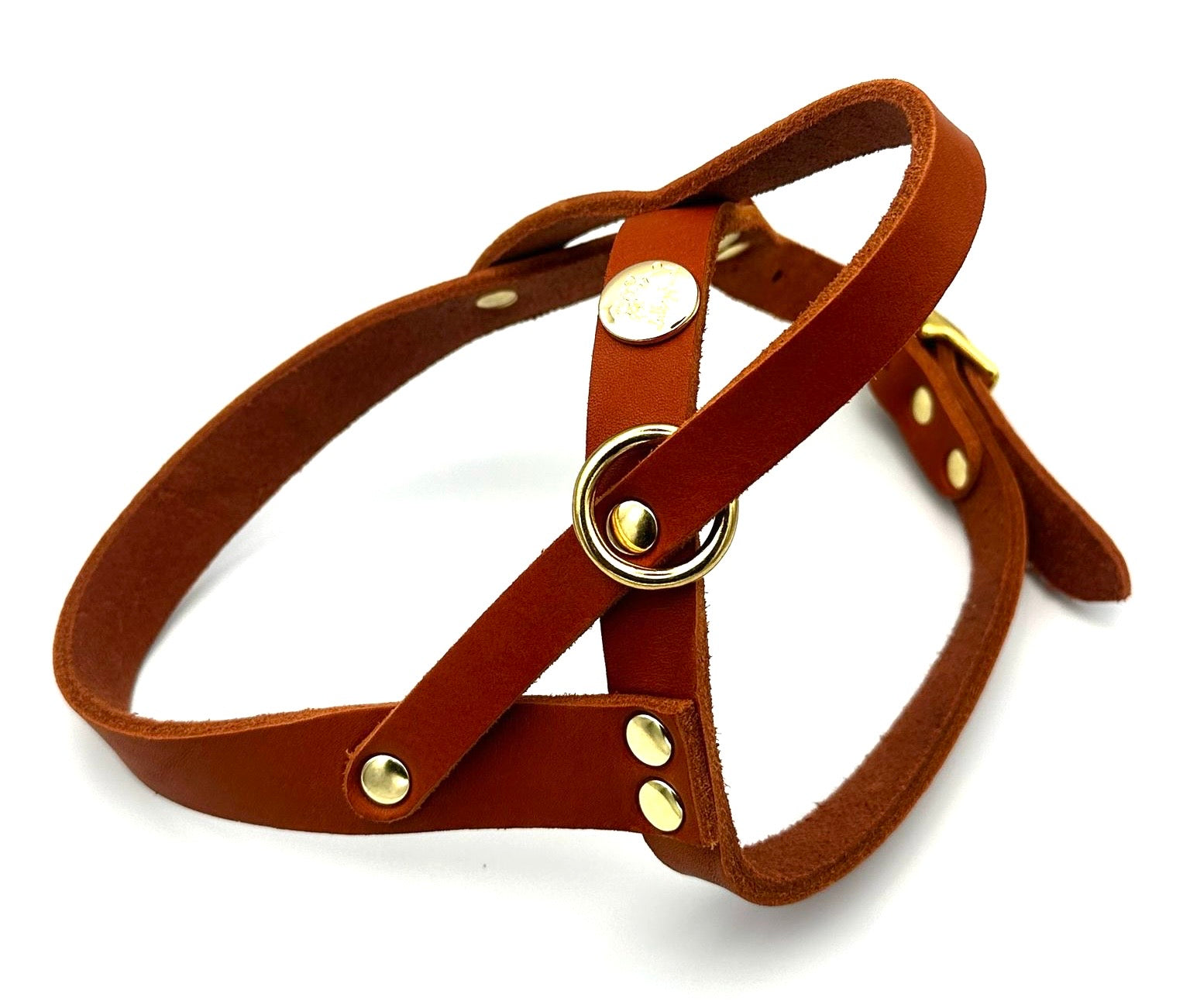 Ledergeschirr Cognac