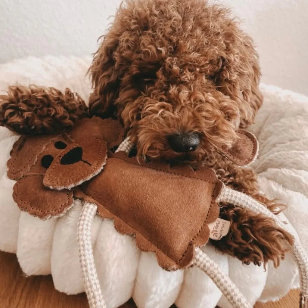 Nachhaltiges Leder Hundespielzeug "Piet Pudel" | Robust & 100% schadstofffrei | Upcycling Leder & natürliche Baumwolle