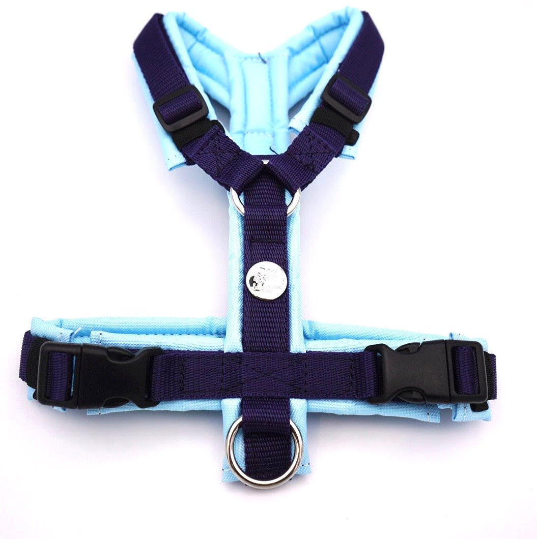 Softgeschirr Hellblau