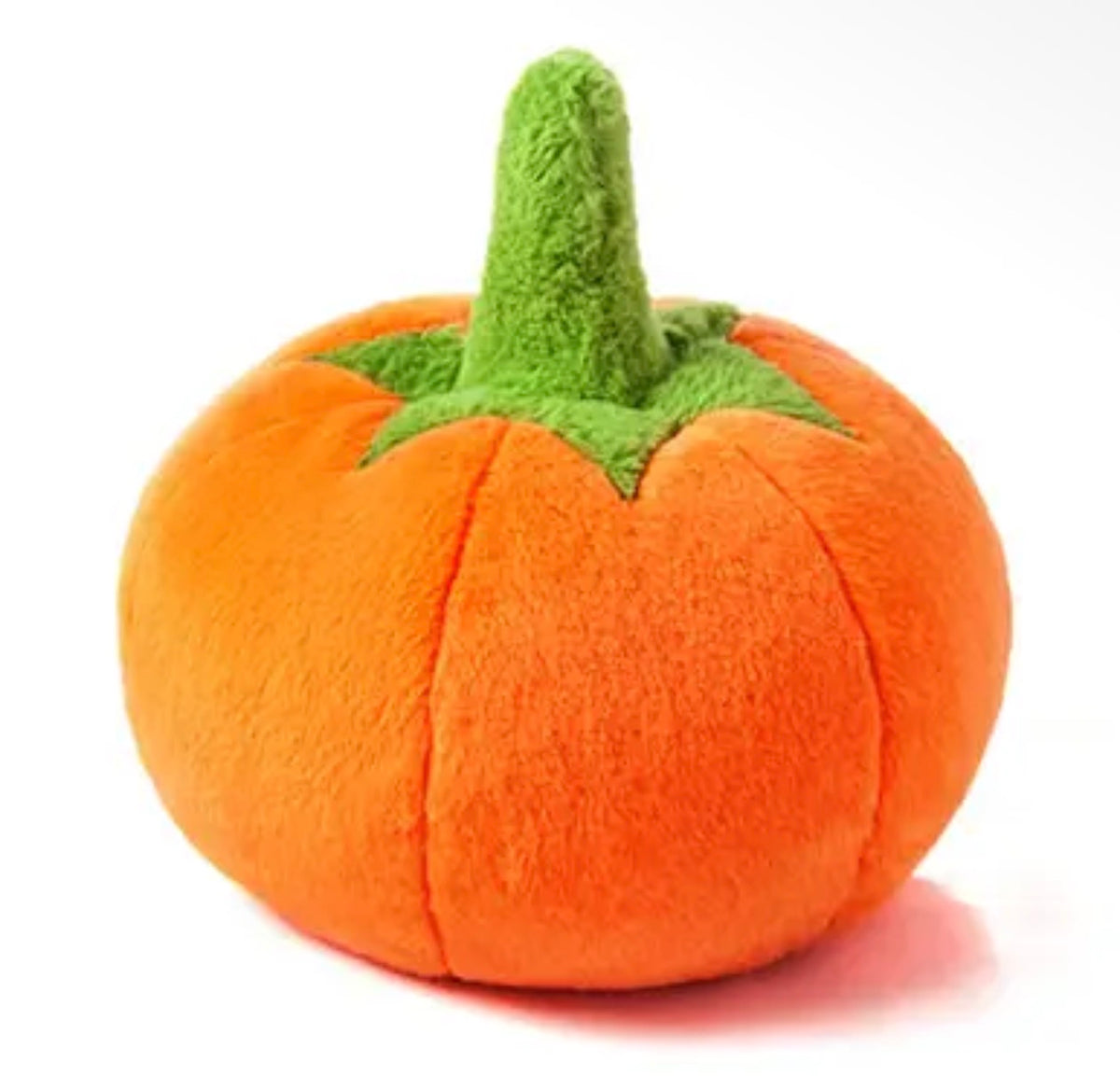 Hallo Herbst Kürbis