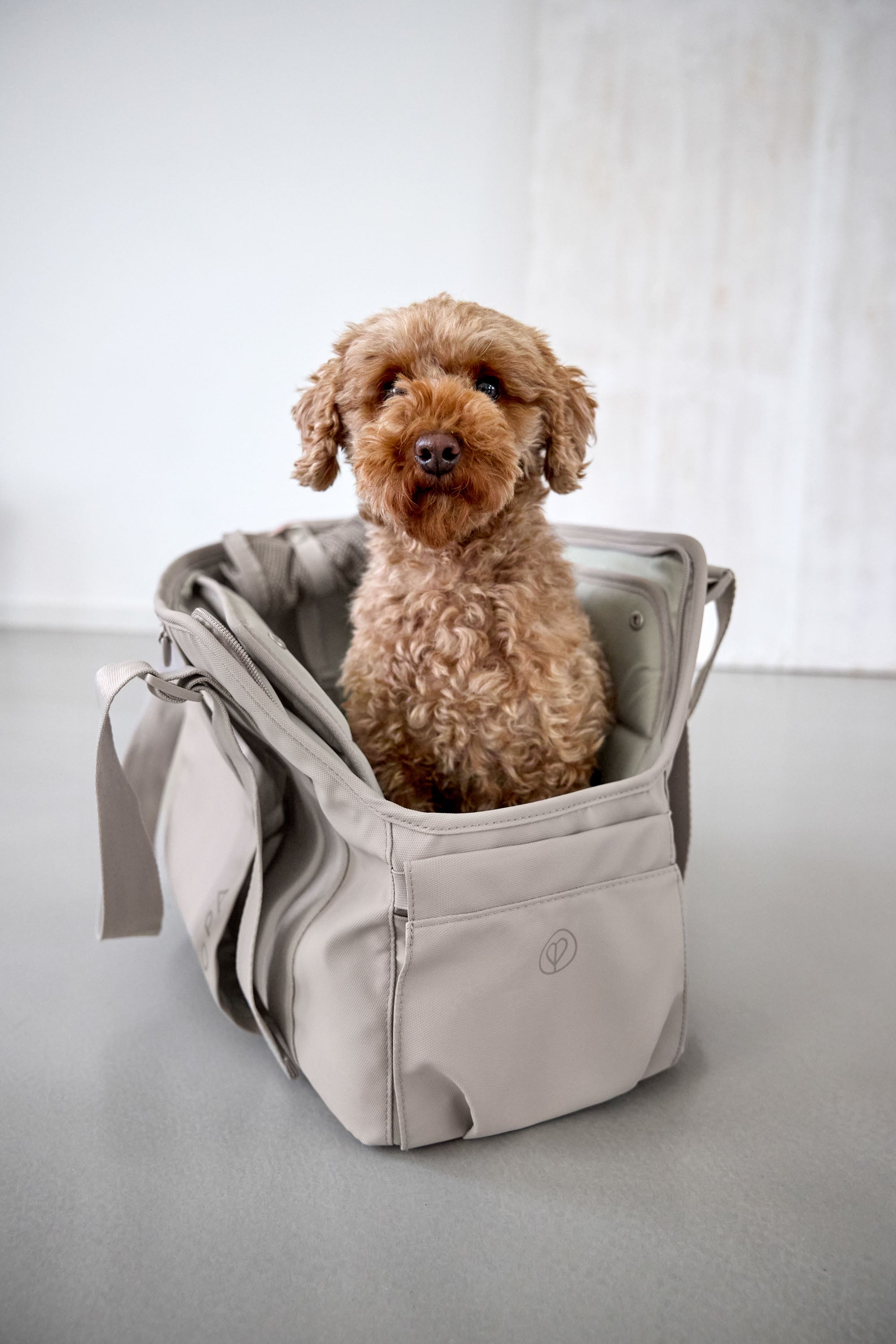 Hundetragetasche Taupe