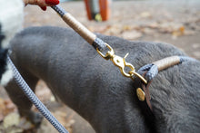 Laden Sie das Bild in den Galerie-Viewer, no.1 Tau-Leder-Halsband