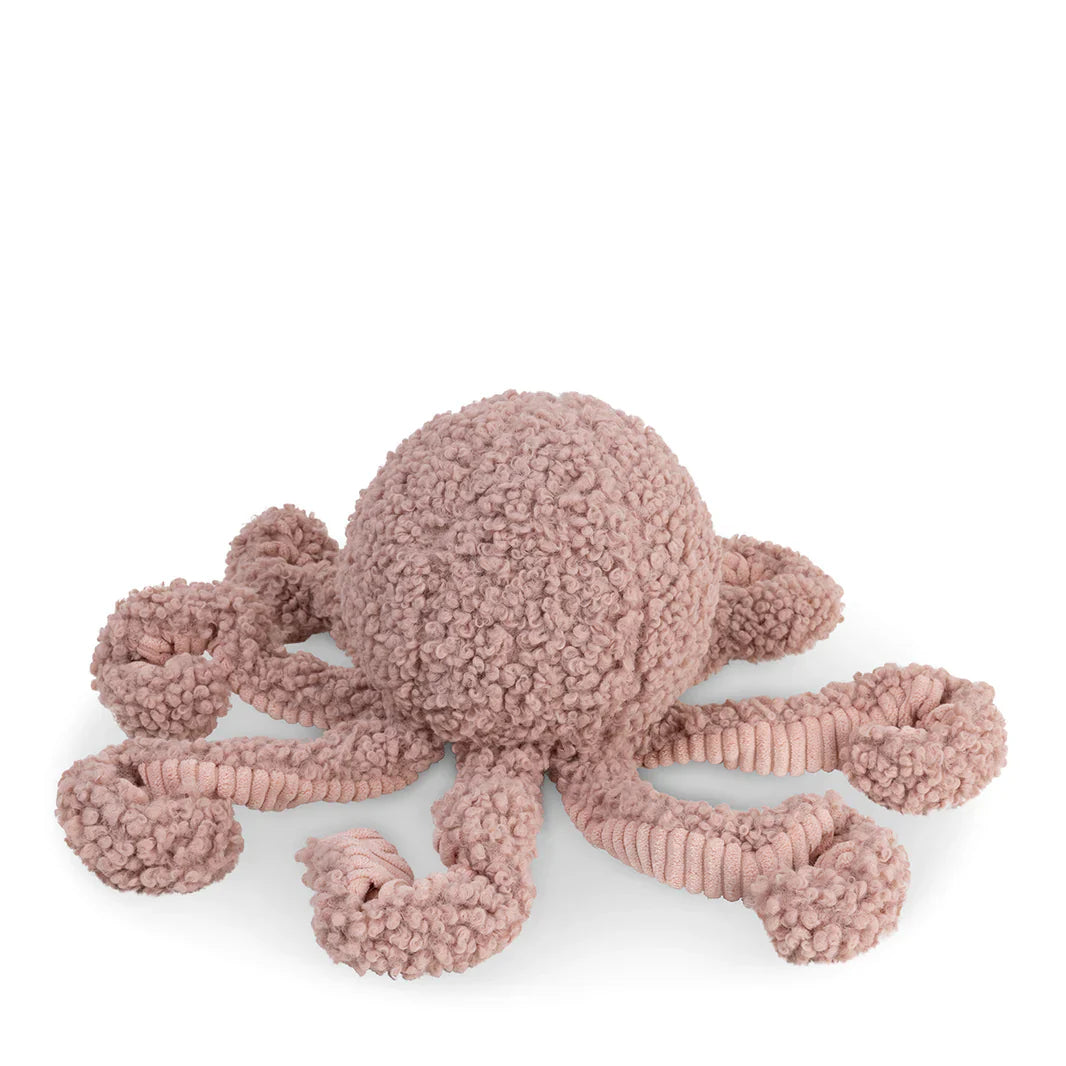 Oktopus