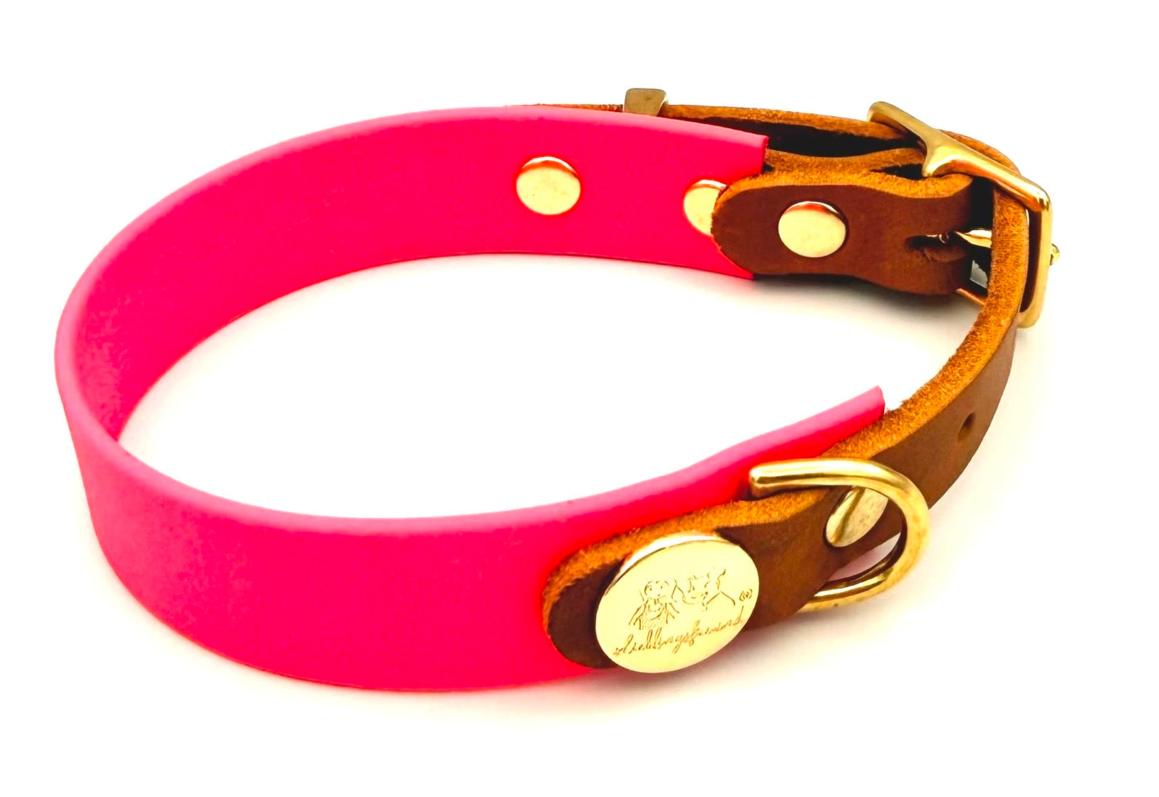 Biothane Lederhalsband Neonpink/Gold