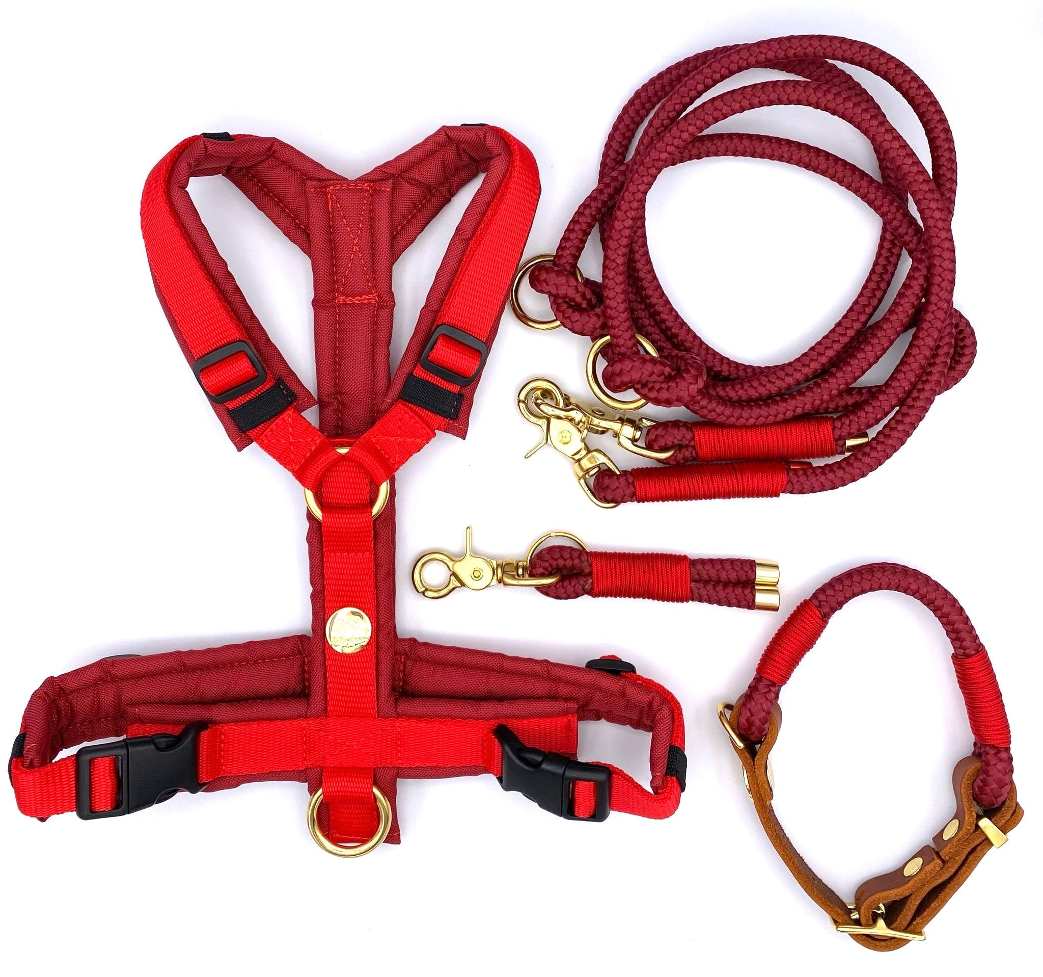 Tau-Leder-Halsband Rot
