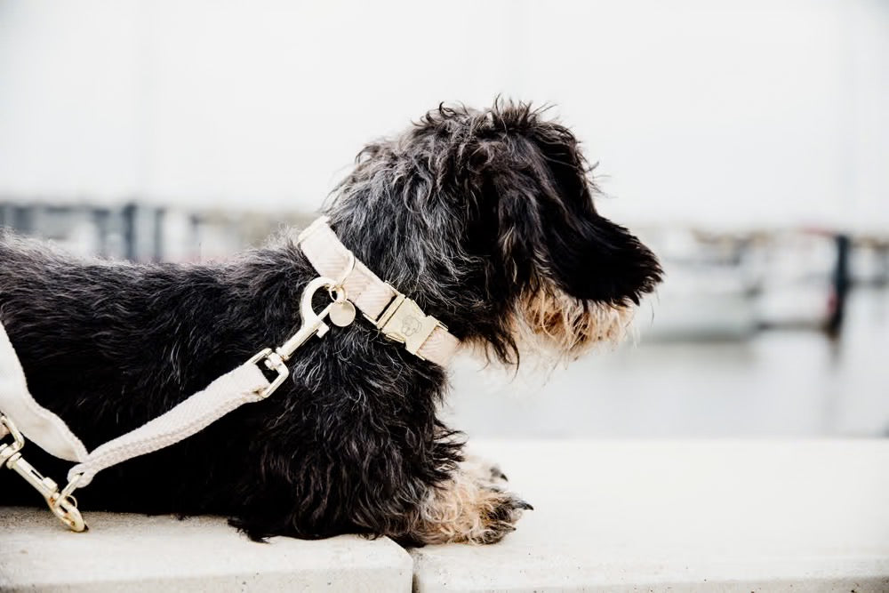 Stoffleine Wolle Rosa