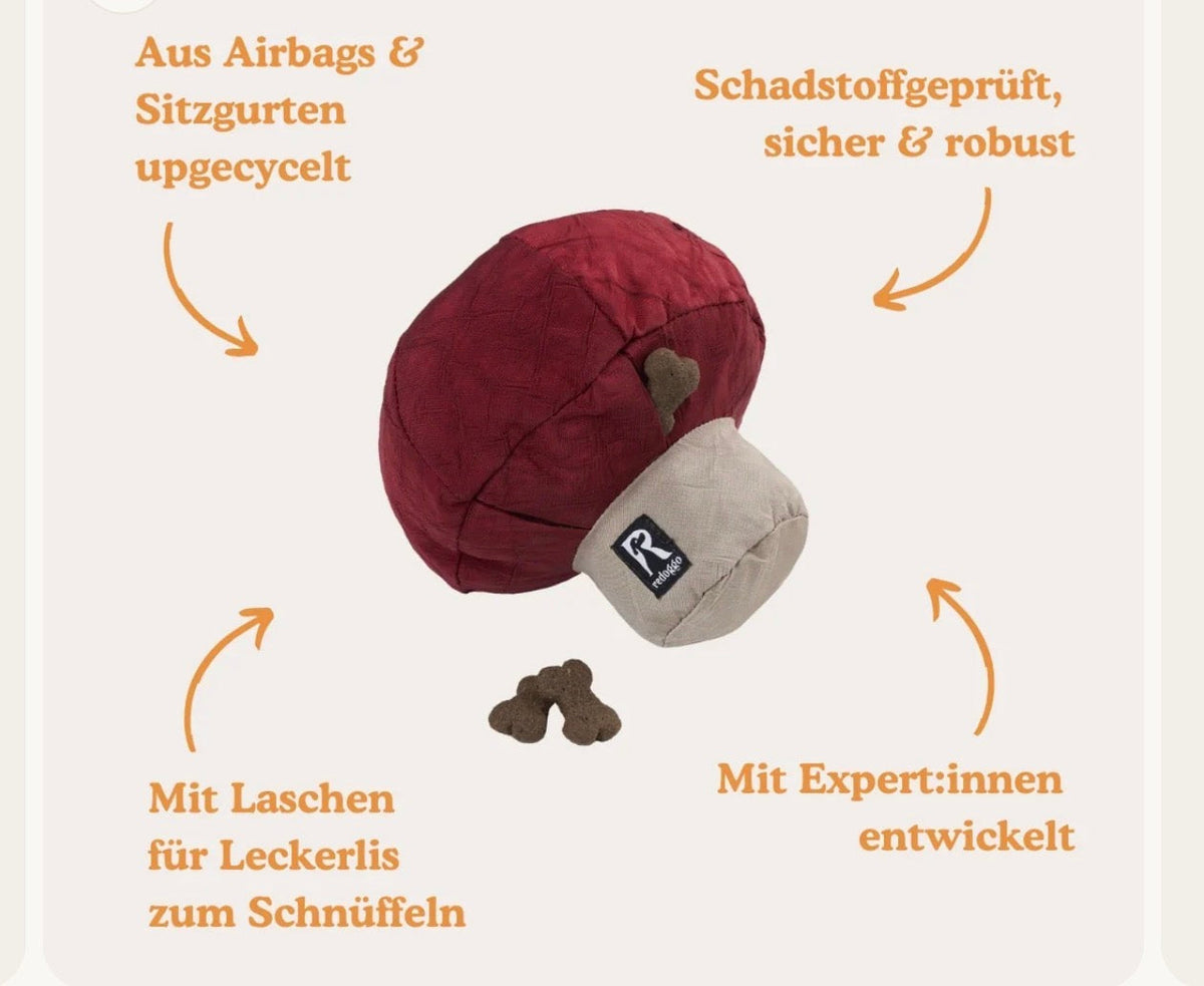 Schnüffelspielzeug Pilz