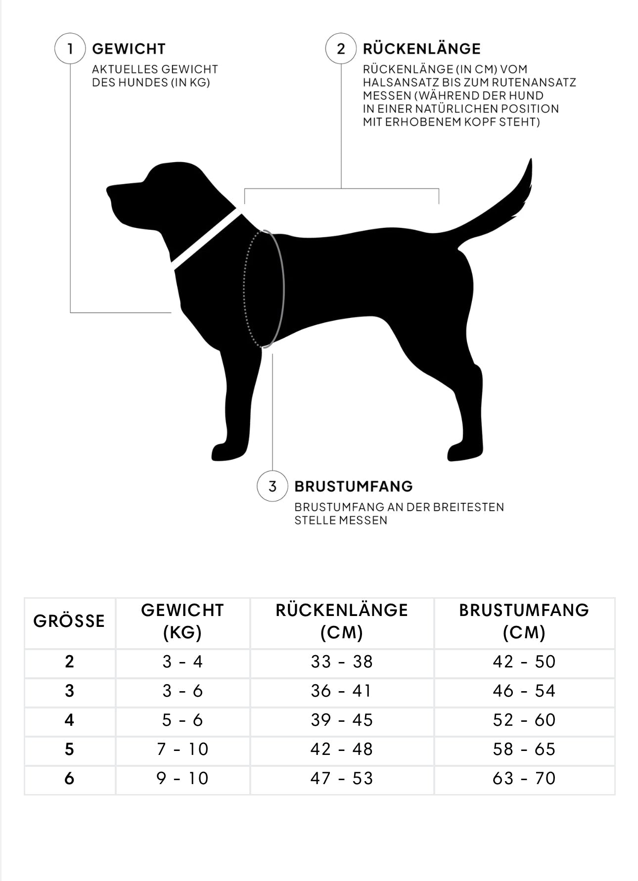 Dackel Hunderegenmantel Dublin 2.0 Dark Olive