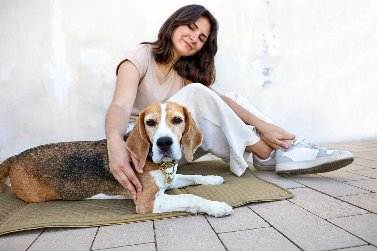 HUNDEMATTENTASCHE - NOBO